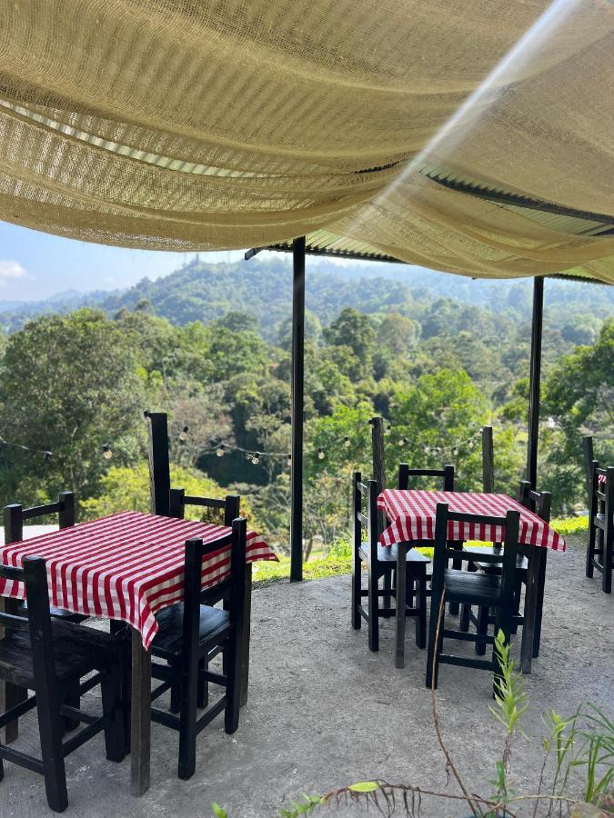 Casa Hostal Amor Viajero San Francisco  Ngoại thất bức ảnh